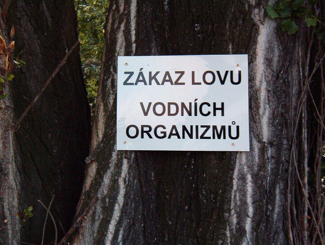 Kliknutm na obrzek okno zavete